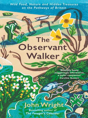 cover image of The Observant Walker